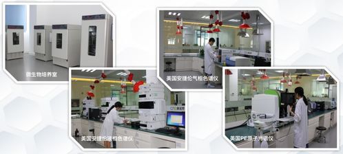 坦圖小分子奶粉產自于某神秘工廠 先睹為快