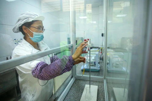 高州食品集團(tuán)又一力作 果鄉(xiāng)花生油廠 正式投產(chǎn),滴滴純正