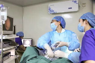 電話占線,反響熱烈,這些名醫(yī)在大連火了 復(fù)興醫(yī)院婦科專家六月繼續(xù)來(lái)連親診,現(xiàn)在預(yù)約還免專家掛號(hào)費(fèi)